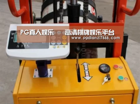 PG真人娱乐案例展示三