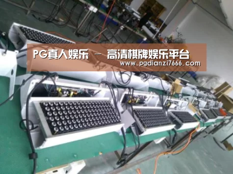 PG真人娱乐案例展示一(图1)