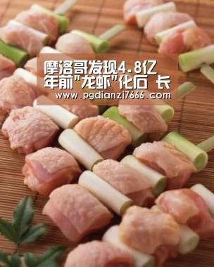 摩洛哥发现4.8亿年前龙虾化石 长约2米(图)_PG真人娱乐(图2) PG电子热门游戏
