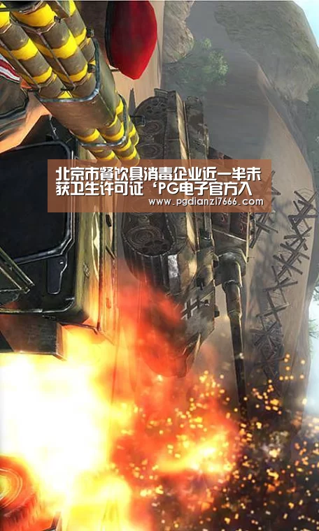 北京市餐饮具消毒企业近一半未获卫生许可证‘PG电子官方入口’(图4) PG电子官方入口