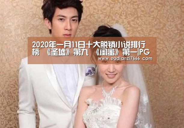 2020年一月11日十大脱销小说排行榜 《圣墟》第九 《闺蜜》第一|PG真人娱乐(图3) PG真人娱乐
