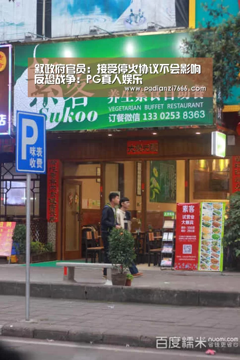 叙政府官员:接受停火协议不会影响反恐战争:PG真人娱乐(图2) PG电子热门游戏