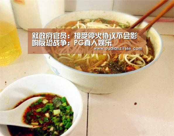叙政府官员:接受停火协议不会影响反恐战争:PG真人娱乐(图1) PG麻将APP下载