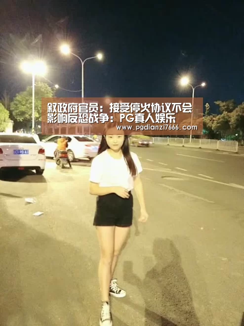 叙政府官员:接受停火协议不会影响反恐战争:PG真人娱乐(图3) PG电子官方入口