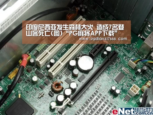 PG真人娱乐