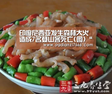 PG麻将APP下载